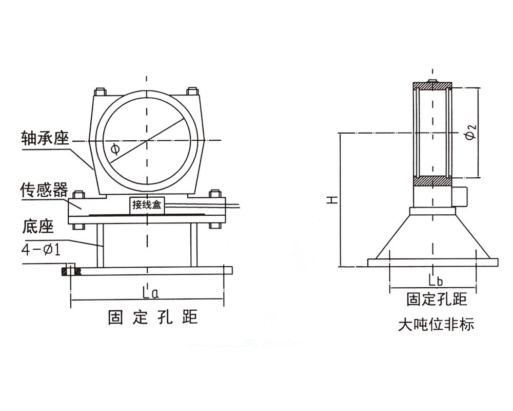 大噸位非標